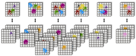 Particle-domain decomposition
